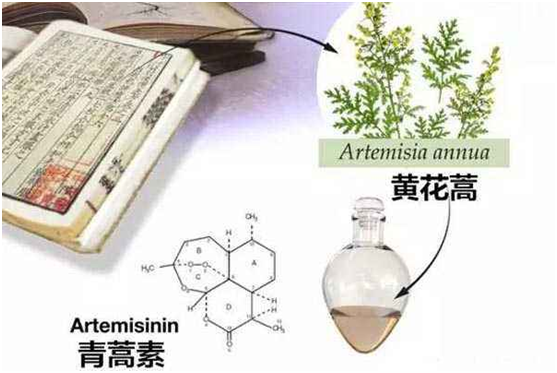 乐玩在线注册,乐玩（中国）：向中医药看齐，与世界共享中医药文化(图1)